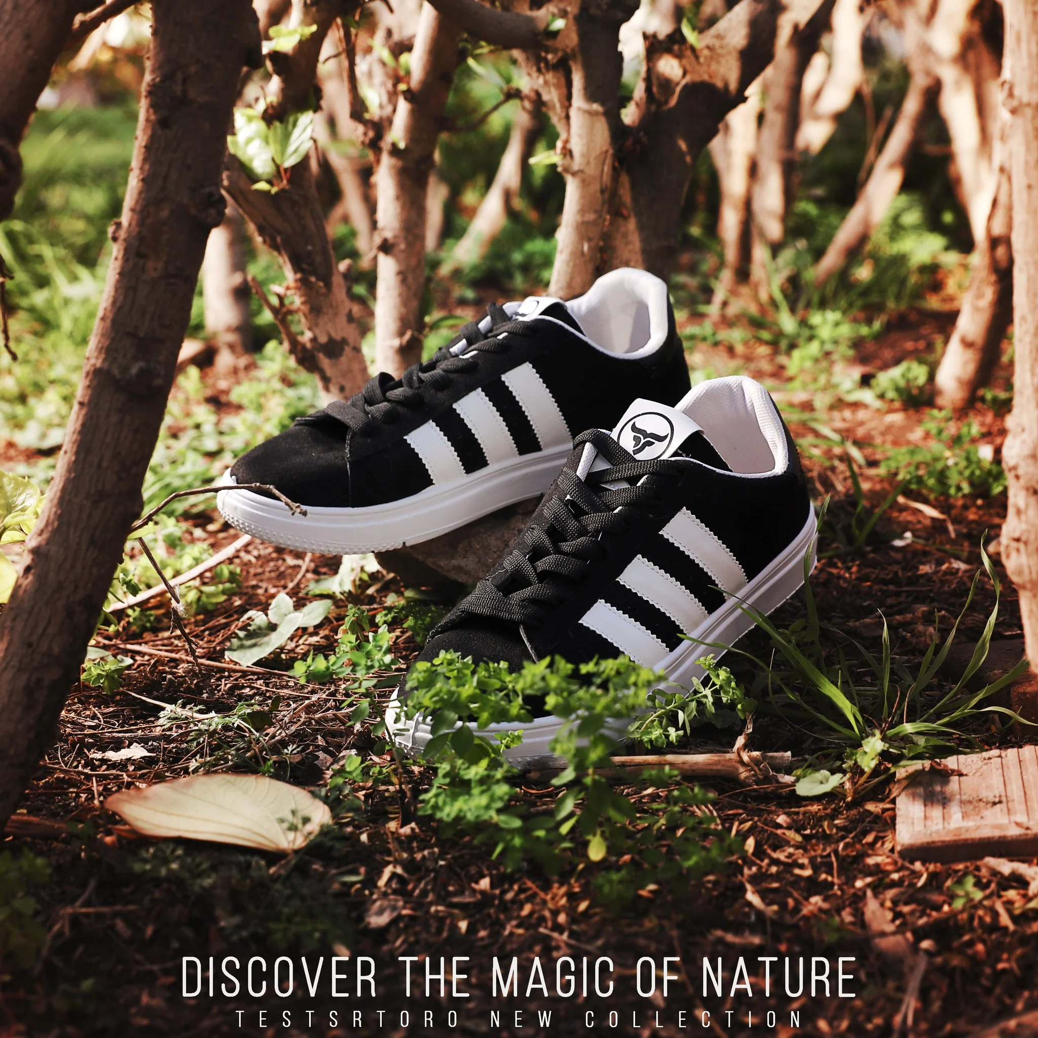 حذاء سنيكر متعدد الالوان من تيستا تورو Testa Toro x9 - Image 8